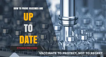 Ensuring Vaccine Compliance: How to Verify Up-to-Date Immunizations