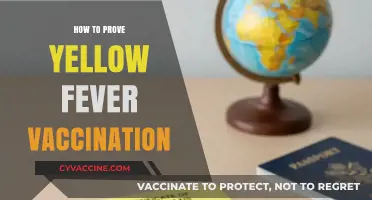 Proving Yellow Fever Vaccination: Essential Tips for International Travelers
