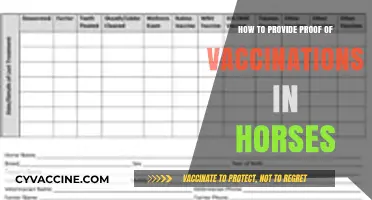 Essential Guide to Documenting and Verifying Horse Vaccination Records