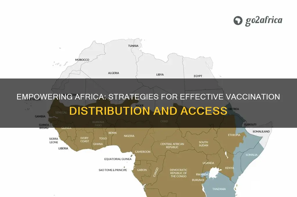 how to provide vaccinations to africa