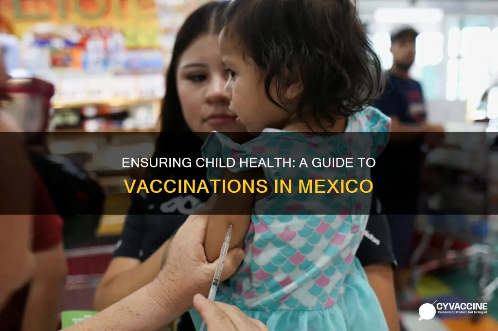 how to provide vaccinations to children in mexico