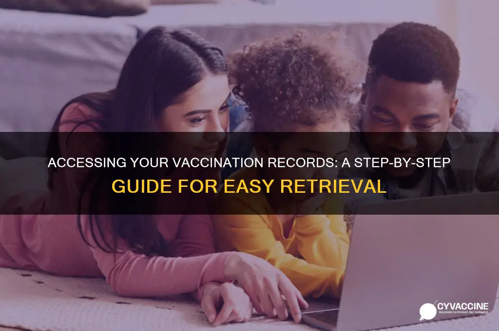 how to pull up vaccination records
