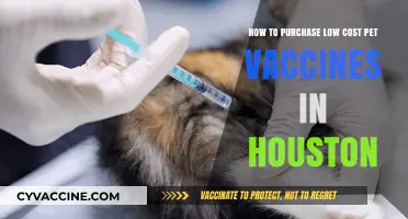 Affordable Pet Vaccines in Houston: A Cost-Saving Guide