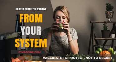 Detox Myths Debunked: Understanding Vaccine Safety and Your Body's Response