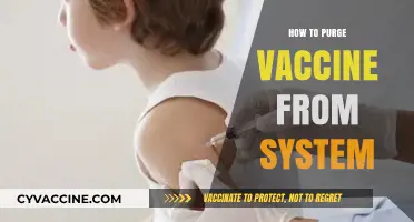 Detox Strategies: Safely Removing Vaccine Residues from Your Body