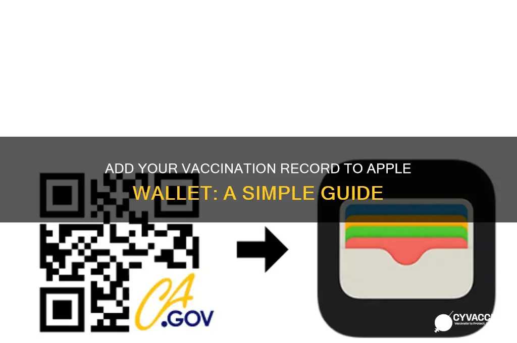 how to put vaccination record in apple wallet