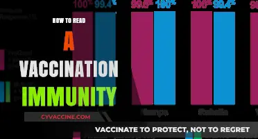 Understanding Vaccination Immunity: A Comprehensive Guide to Reading Your Protection