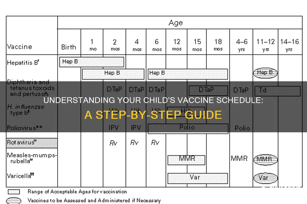 how to read a vaccine schedule