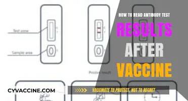 Understanding Antibody Test Results Post-Vaccination: A Comprehensive Guide