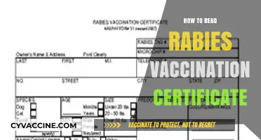 Understanding Your Pet's Rabies Vaccination Certificate: A Step-by-Step Guide