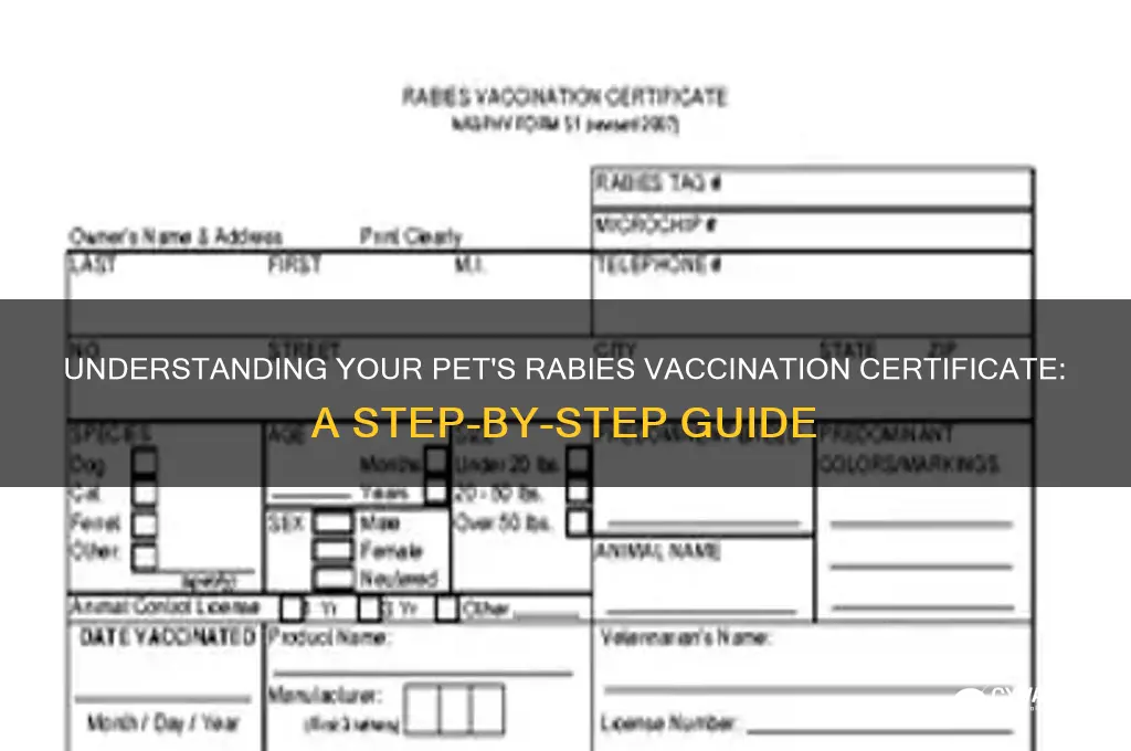 how to read rabies vaccination certificate