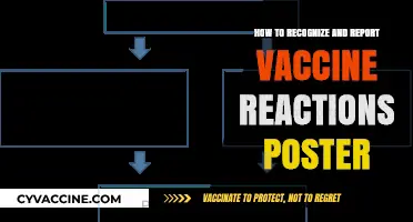 Identifying and Reporting Vaccine Reactions: A Comprehensive Guide for Awareness