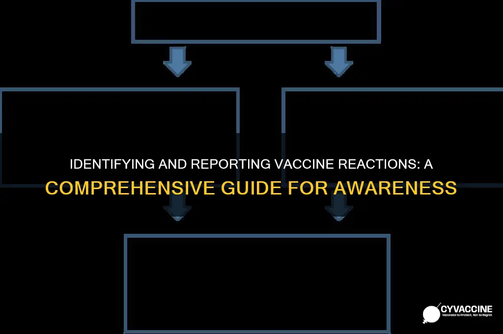 how to recognize and report vaccine reactions poster