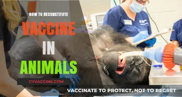 Mastering Vaccine Reconstitution for Safe and Effective Animal Immunization