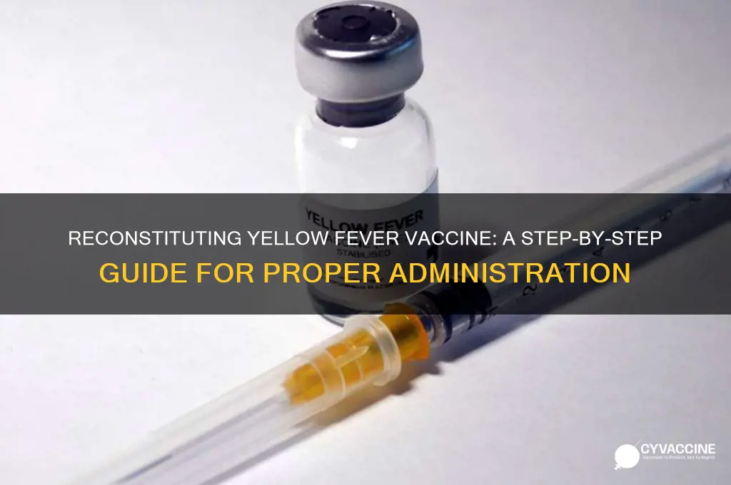 how to reconstitute yellow fever vaccine
