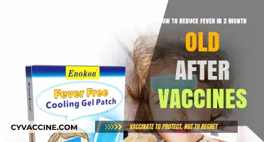 Soothing Your 2-Month-Old: Post-Vaccine Fever Relief Tips for Parents