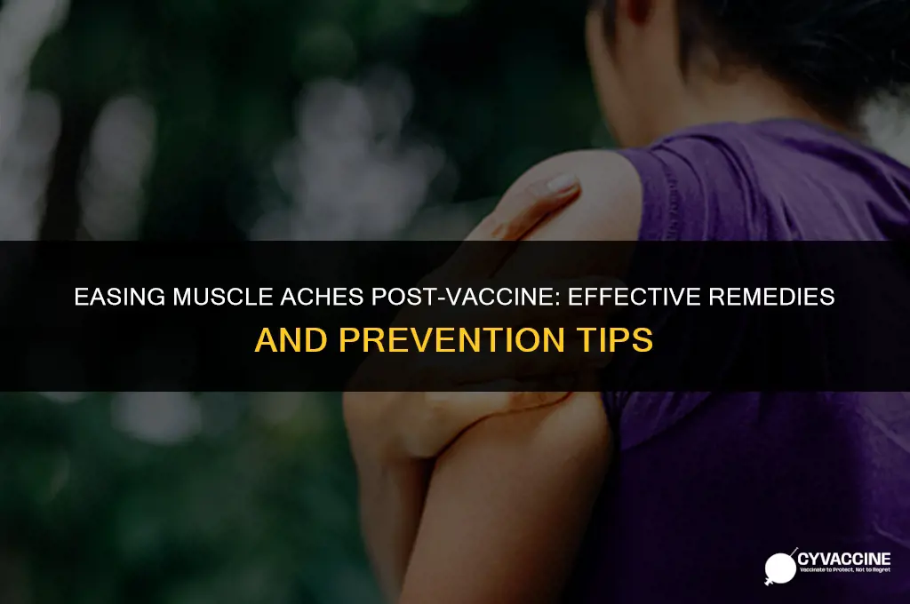 how to reduce muscle soreness vaccine