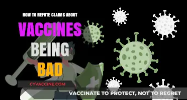 Debunking Anti-Vaccine Myths: Evidence-Based Strategies to Counter False Claims