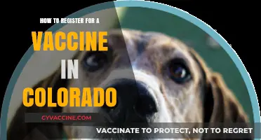 Colorado Vaccine Registration: A Step-by-Step Guide to Getting Your Shot