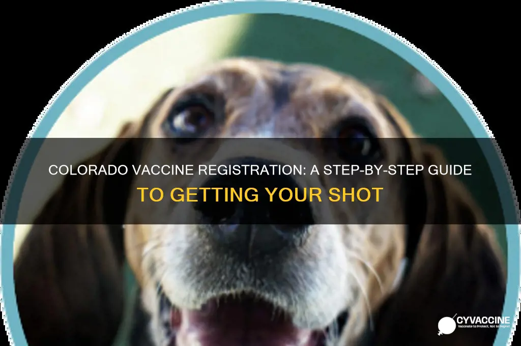 how to register for a vaccine in colorado