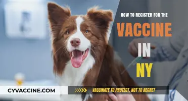 Step-by-Step Guide: Registering for Your COVID-19 Vaccine in New York