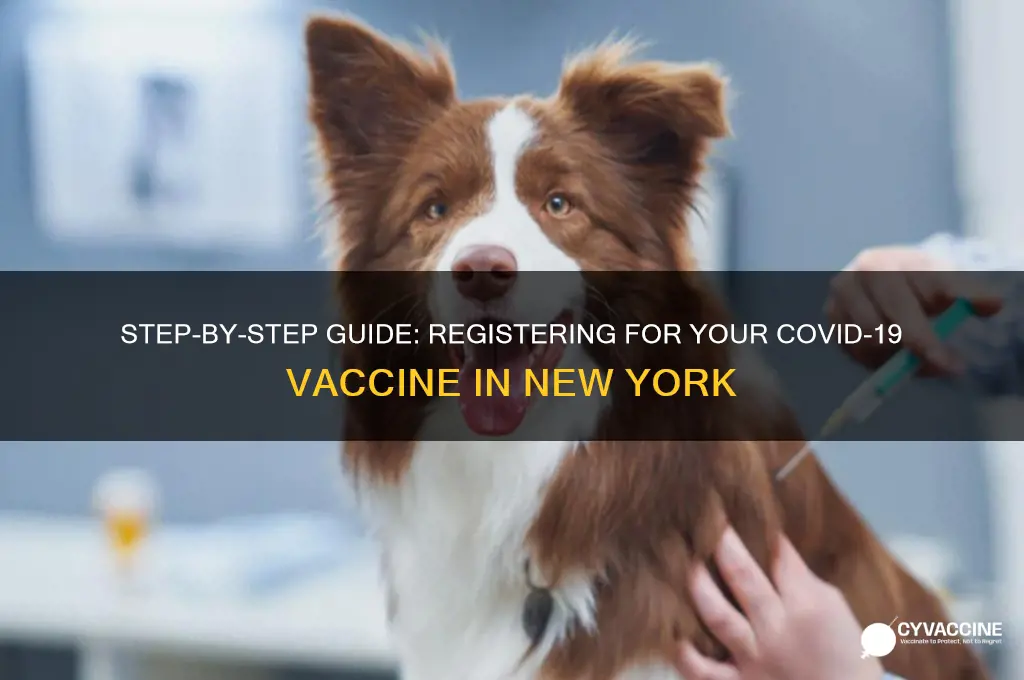 how to register for the vaccine in ny