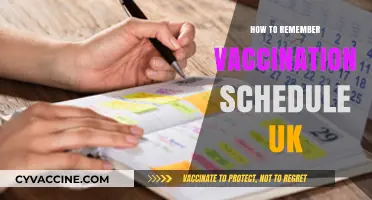Stay on Track: A Simple Guide to Remembering Your UK Vaccination Schedule