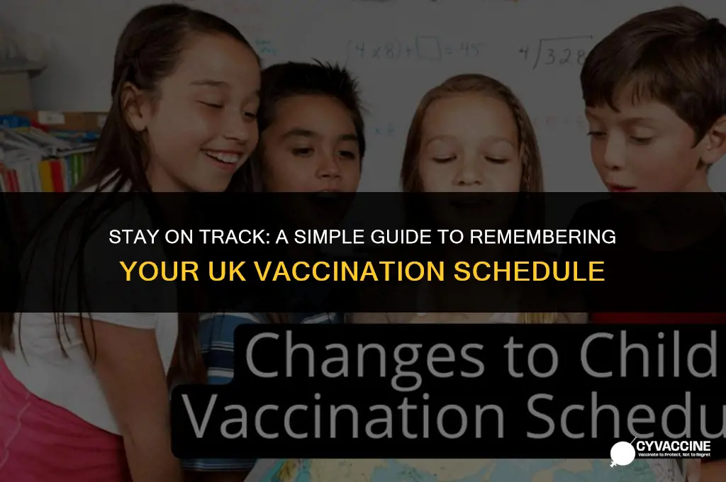 how to remember vaccination schedule uk