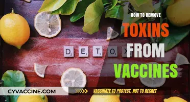 Detoxifying Vaccines: A Comprehensive Guide to Removing Toxins Safely