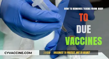 Detox Safely Post-Vaccination: Effective Ways to Support Your Body's Natural Cleanse