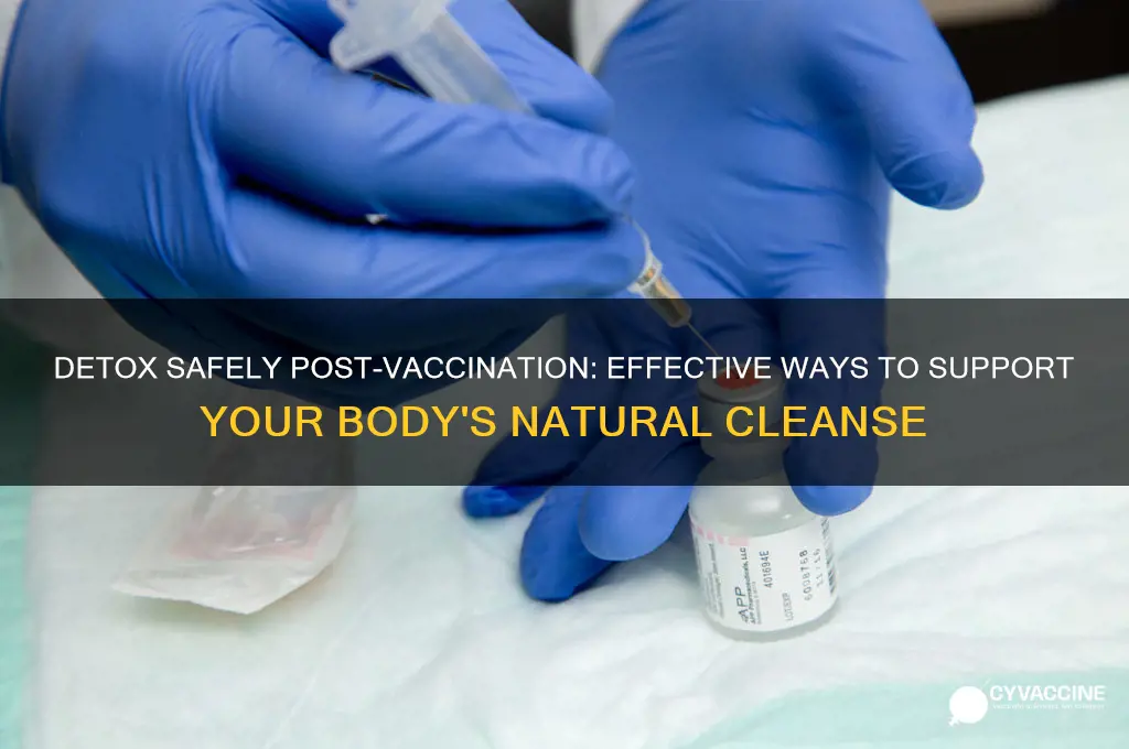 how to removes toxins from body to due vaccines