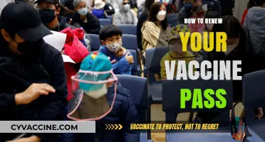 Stay Protected: A Simple Guide to Renewing Your Vaccine Pass