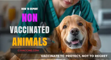 Safeguarding Public Health: Reporting Unvaccinated Animals Responsibly