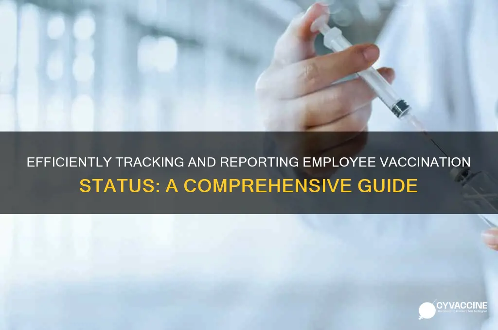 how to report on and track your employees vaccination status