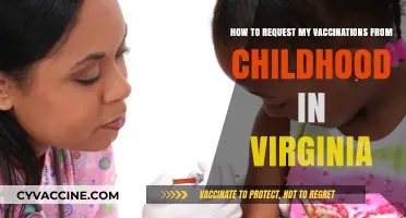 Accessing Childhood Vaccination Records in Virginia: A Step-by-Step Guide