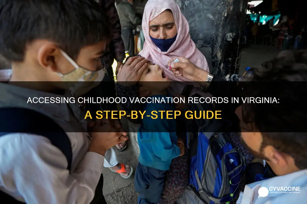 how to request my vaccinations from childhood in virginia
