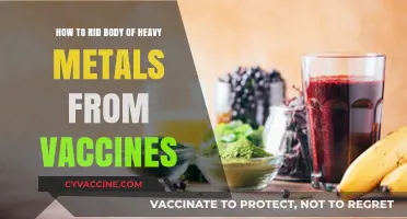Detoxifying Safely: Removing Heavy Metals Post-Vaccination – Myths vs. Facts