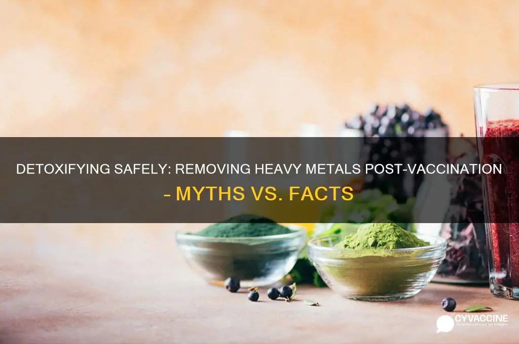 how to rid body of heavy metals from vaccines
