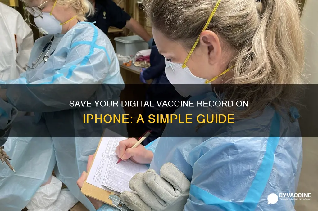how to save digital vaccine record on iphone