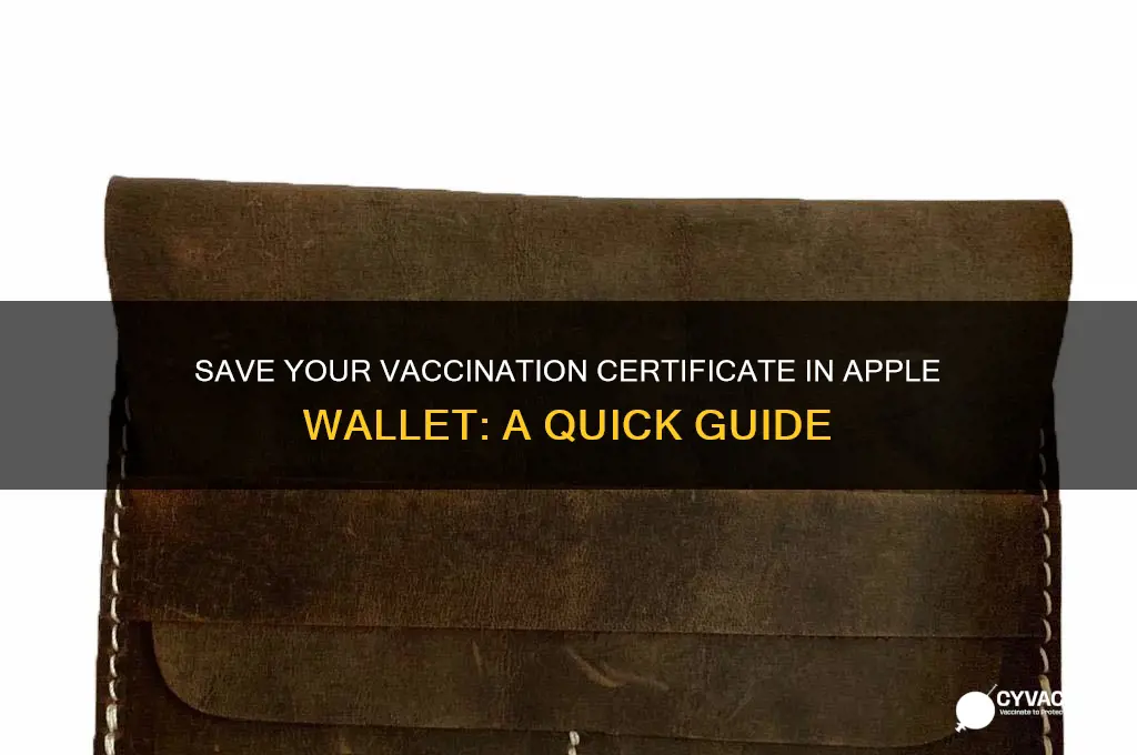how to save vaccination certificate in apple wallet