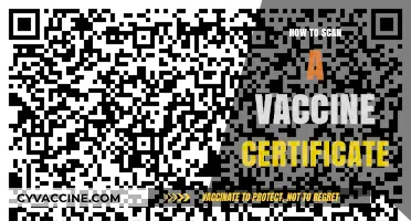 Decoding Your Vaccine Certificate: A Step-by-Step Guide