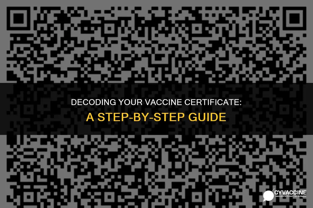 how to scan a vaccine certificate