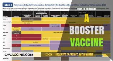 Scheduling Your Booster Vaccine: A Step-by-Step Guide