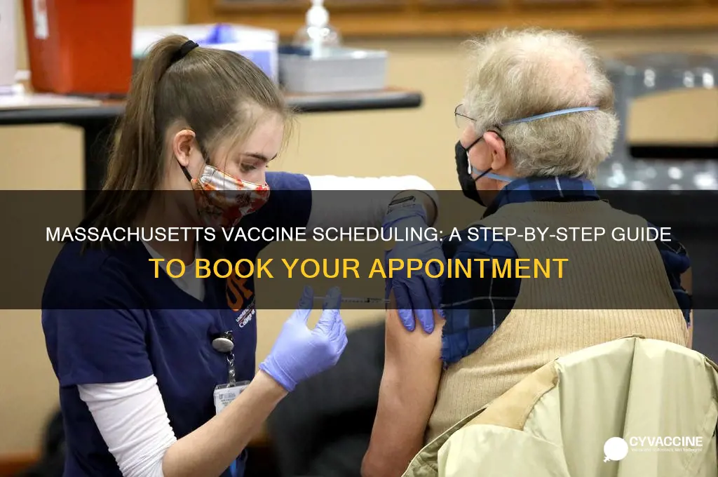 how to schedule a vaccine appointment in massachusetts
