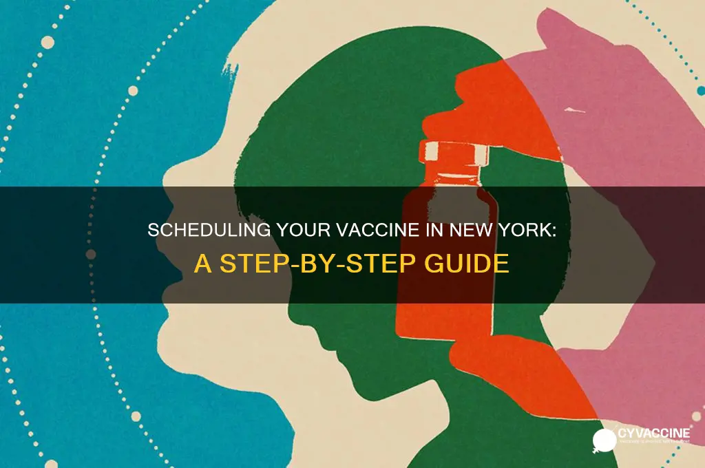 how to schedule a vaccine in new york