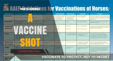 Scheduling Your Vaccine Shot: A Step-by-Step Guide