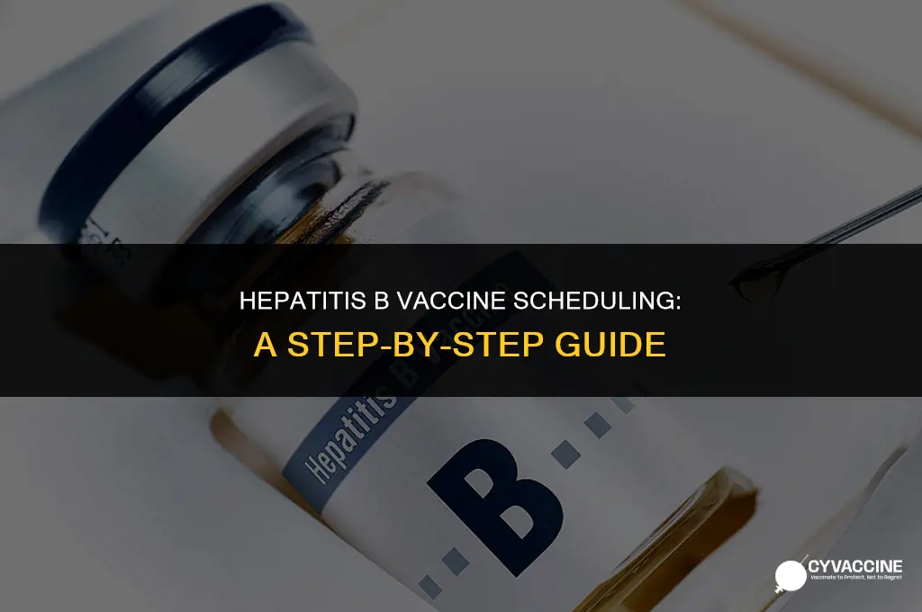 how to schedule hepatitis b vaccine