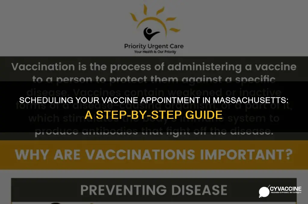 how to schedule vaccine appointment massachusetts