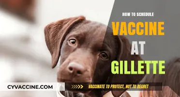 Effortless Vaccine Scheduling at Gillette: A Step-by-Step Guide