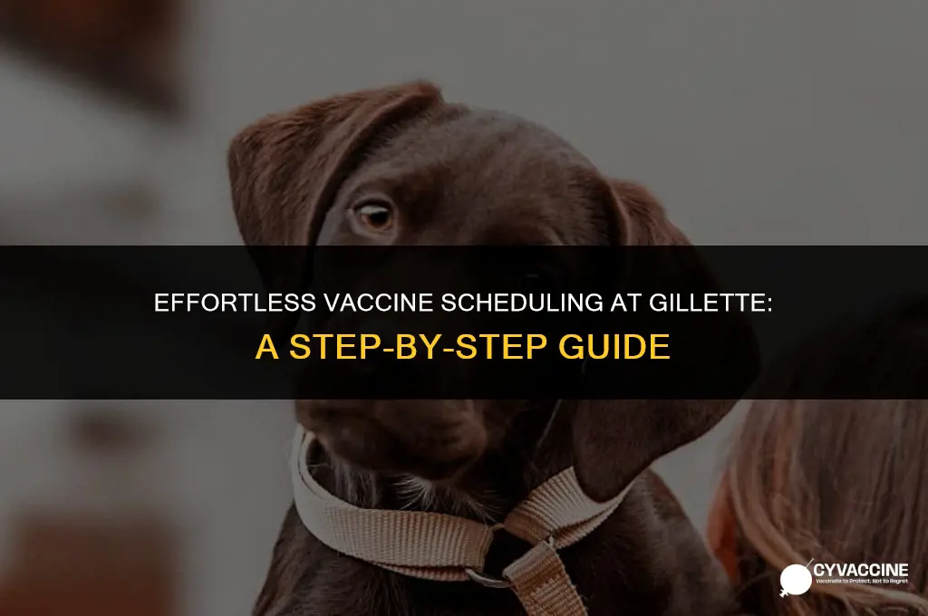 how to schedule vaccine at gillette